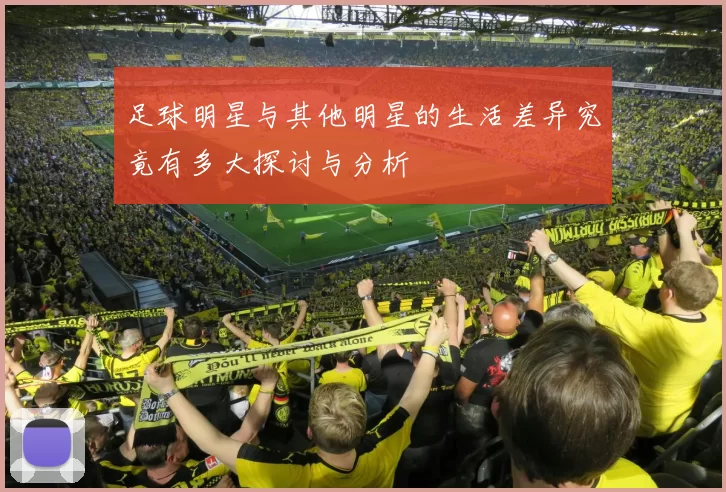 足球明星与其他明星的生活差异究竟有多大探讨与分析