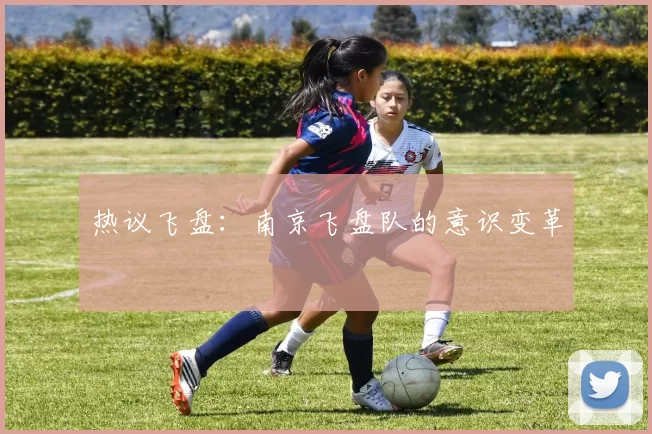 热议飞盘：南京飞盘队的意识变革