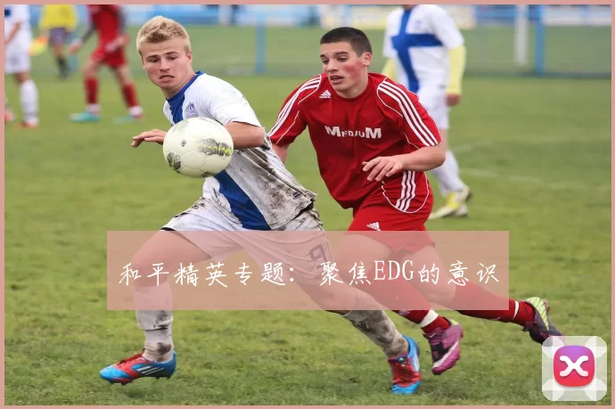 和平精英专题：聚焦EDG的意识